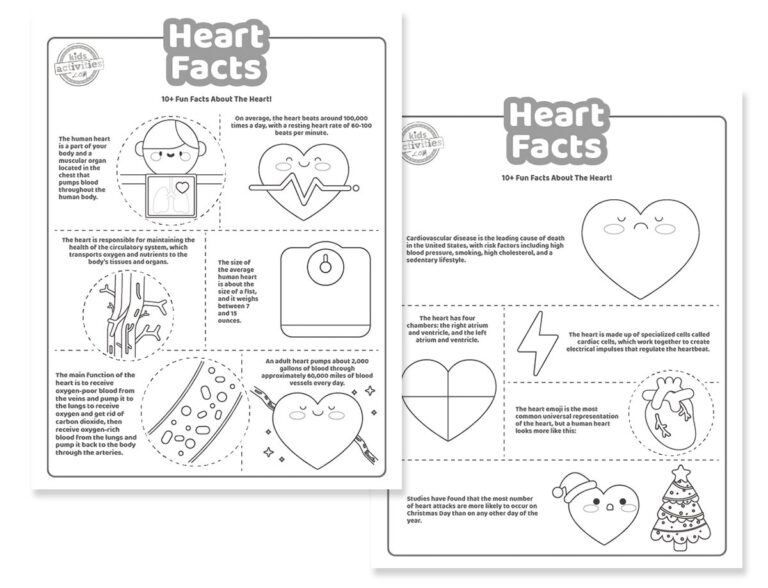 Heart Facts Coloring Pages Facebook