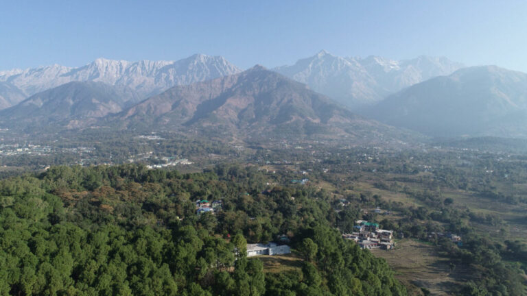 HimVeda: Rediscovering Health Through the Timeless Power of Ayurveda