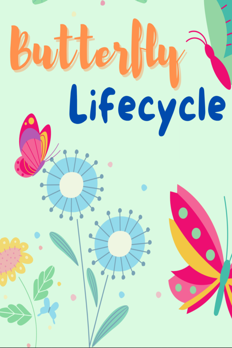 Butterfly Lifecycle printable set feature