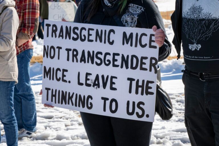 Stand up for science rally