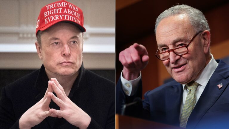 musk schumer