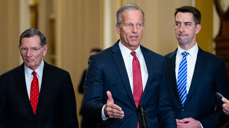thune barrasso cotton