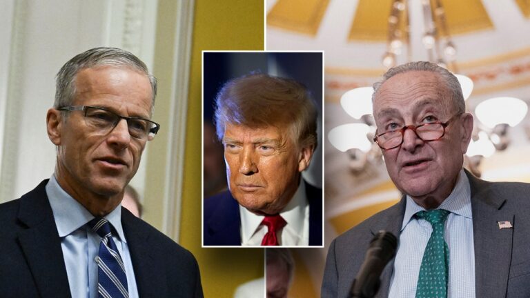 thune trump schumer