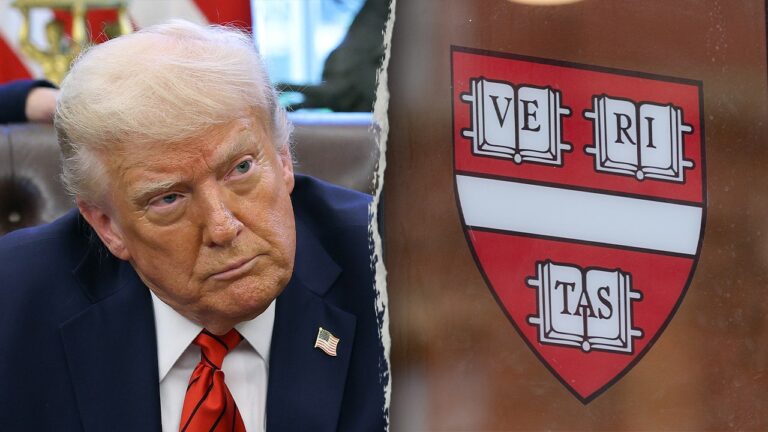 trump harvard 2